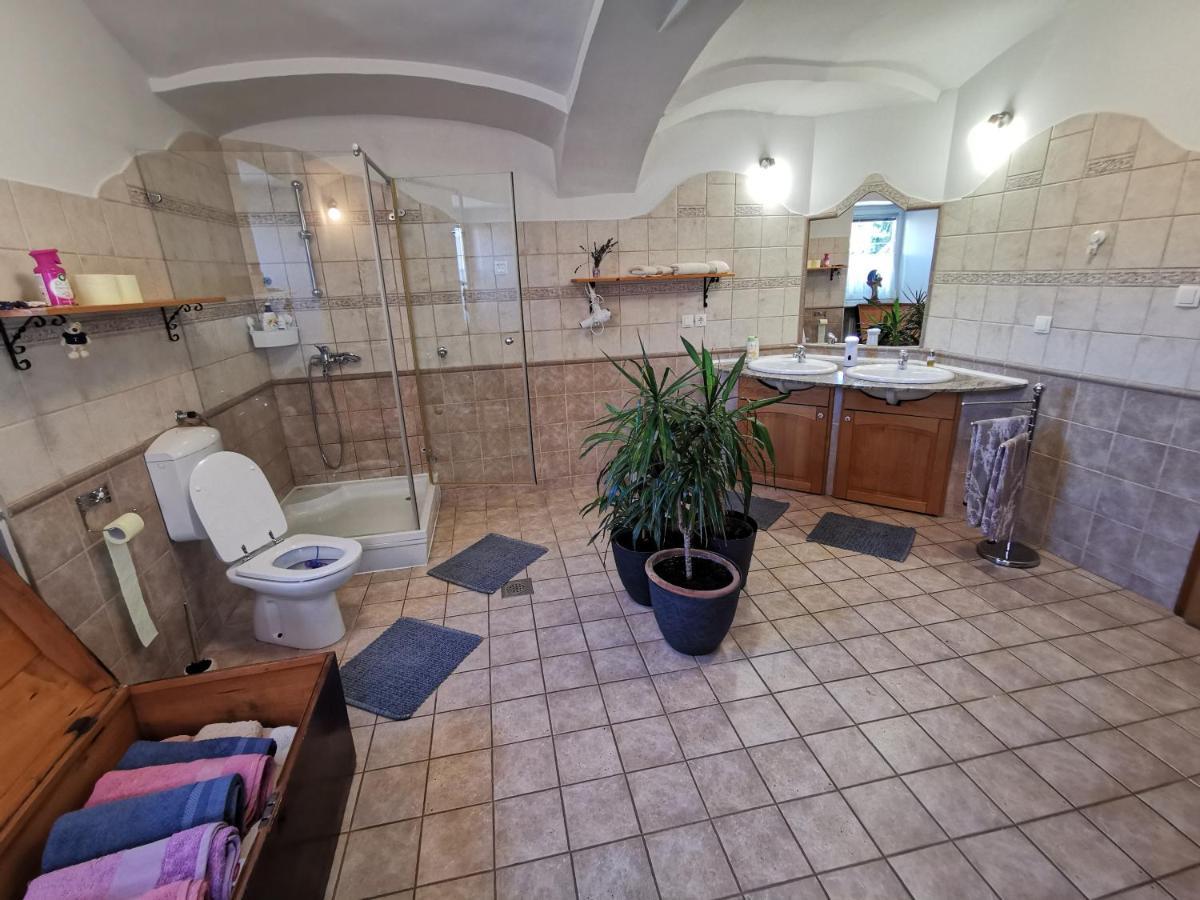 Charming Village House With Patio And Garden Slovenske Konjice Exteriér fotografie
